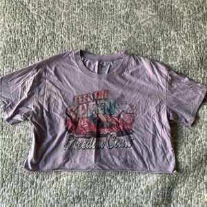 Hollister Graphic Cropped T-shirt